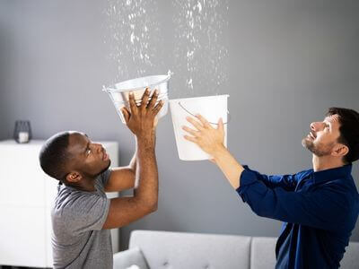 About Wilmington CA Mold Remediation Pros - mold remediation experts in Wilmington