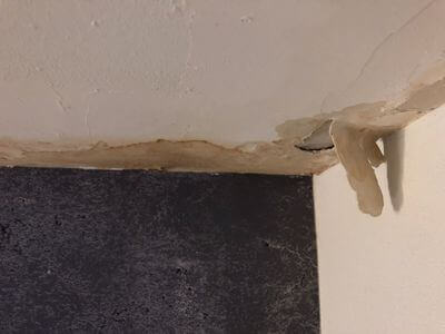 Professional mold remediation services in Wilmington